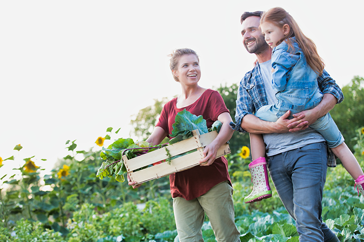 a farming family gathers a box of vegetables