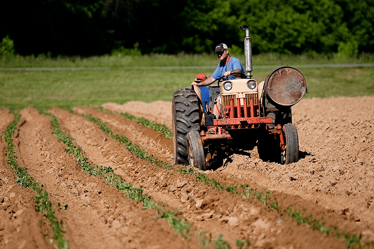 a farmer driving a tractor through a field