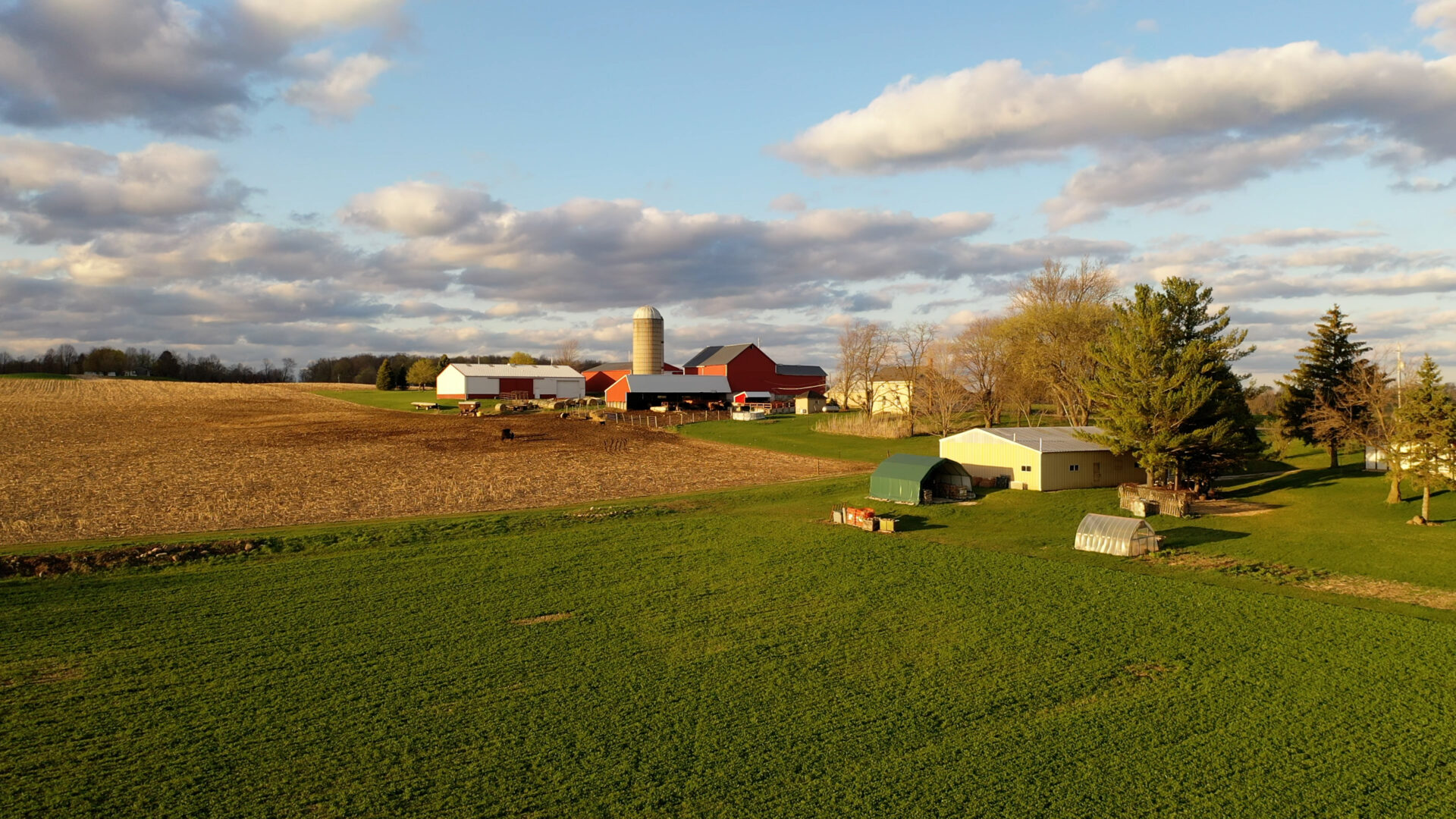 aerial view of farm