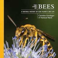 the cover of the Lifes of Bees book