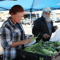 sellers at a farmers market