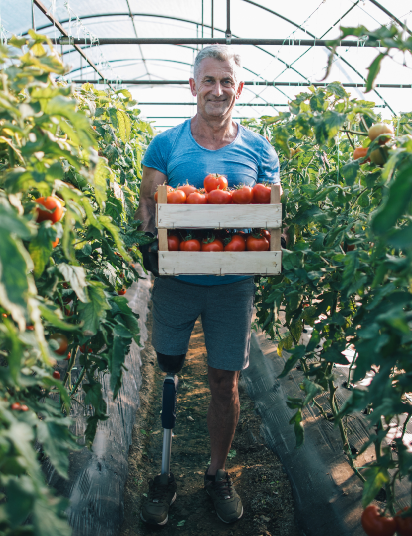 a farmer with a prosthetic leg holds a container of tomatoes