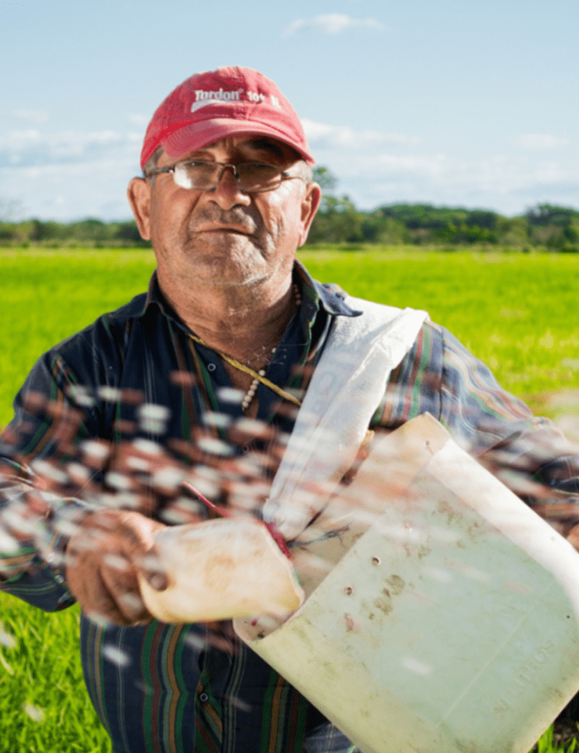 a farmer standing in a field