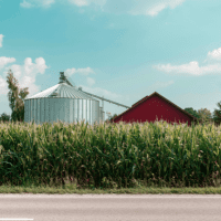 a corn field, corn bin, and red barn