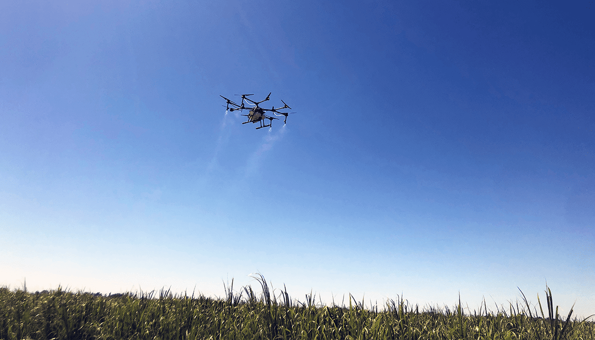 a drone flying over an agricultural field