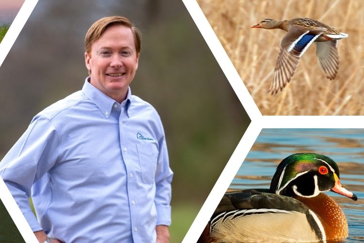 Featured image for “Growing Together: Conversation with Adam Putnam, Chief Executive Officer, Ducks Unlimited”