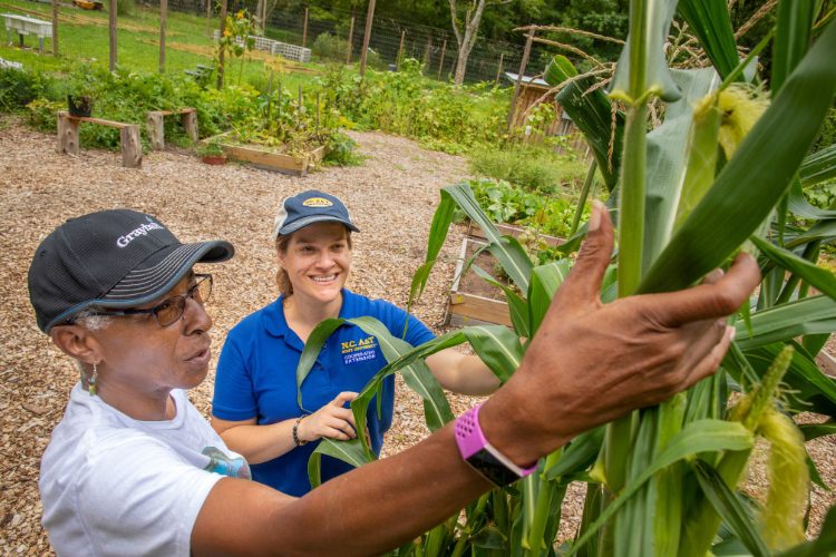 Featured image for “Building Resilient Food Systems: People, Communities, and Economic Vitality”