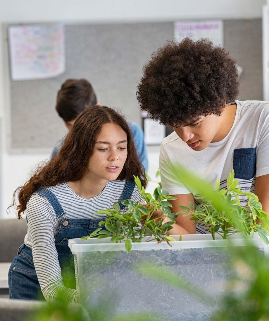 students in a classroom examine a plant