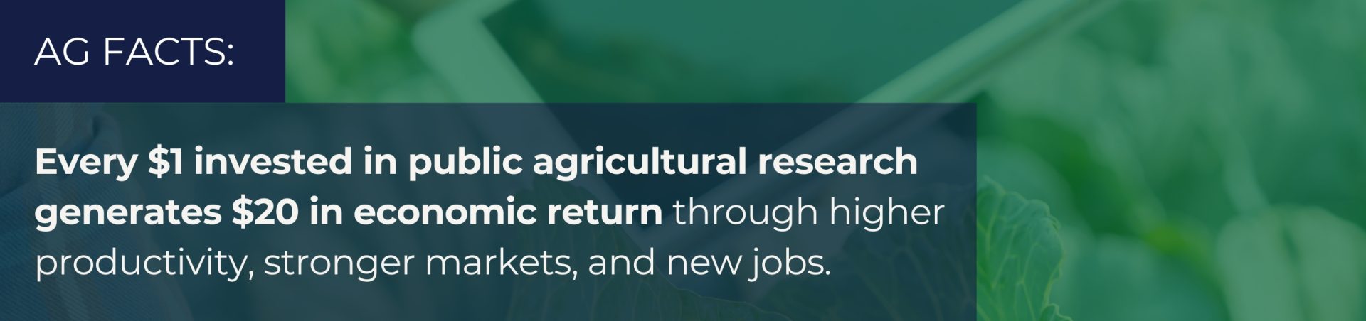 Ag Facts: Every $1 invested in public agricultural research generates $20 in economic return through higher productivity, stronger markets, and new jobs.