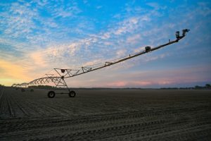 irrigator in a field