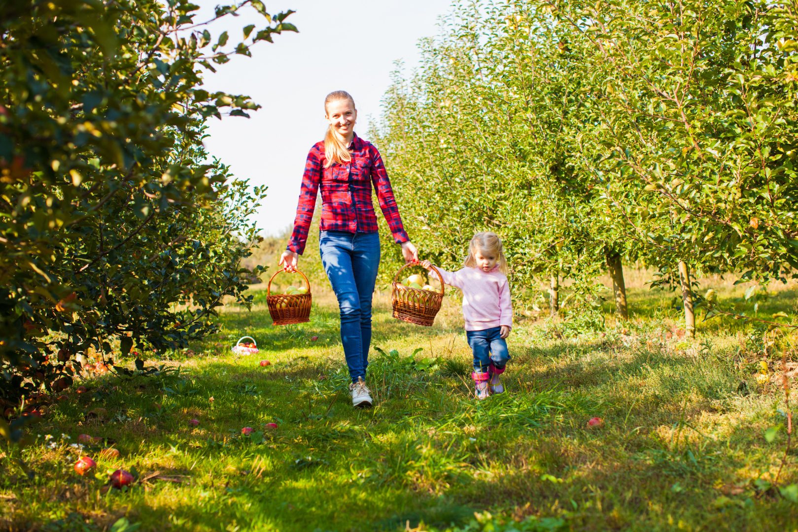 a child and mother picking apples