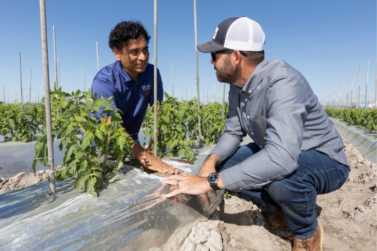 Featured image for “Fueling Economic Development for Thriving Communities: Risk Management, Transitions, and Future-focused Innovation”