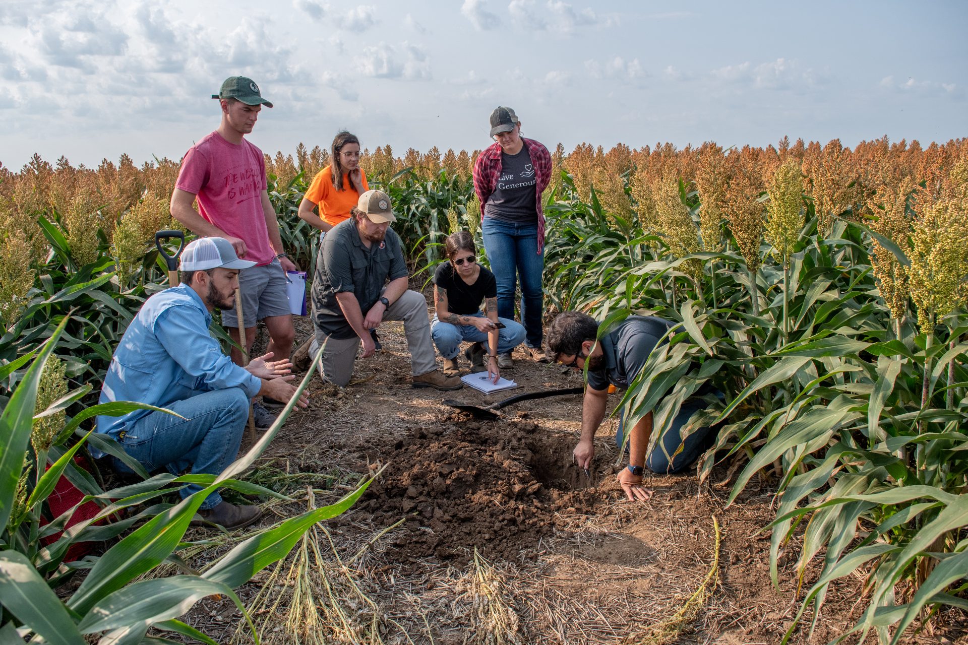 students examine soil in a sorghum field
