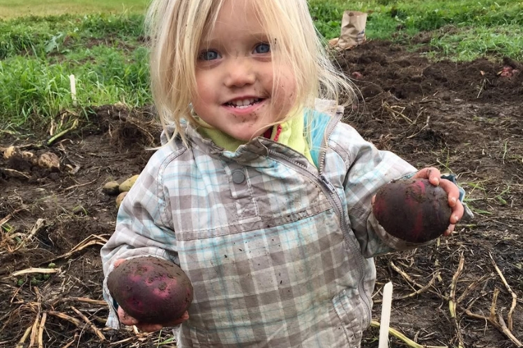 Featured image for “The Science Behind the Spud”