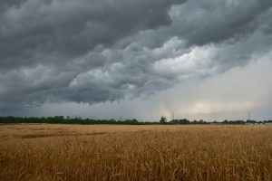 a storm brewing over a field
