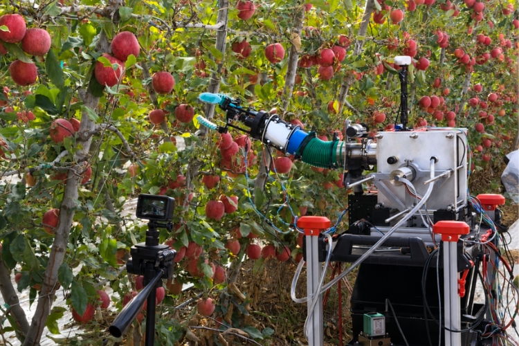 Featured image for “Advancing the Apple: AI, Robotics, and Precision Agriculture”