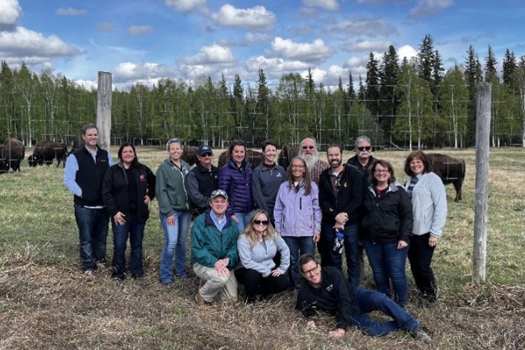 Featured image for “Decades of Collaborative Research Deliver Results for Cattle and Sheep Producers ”